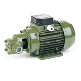 CF Pompe, Saer Elettropompe, Electromotor Pump, 3ph, 50Hz, 230/400V, 5/2.9A,  مضخة كهربائية